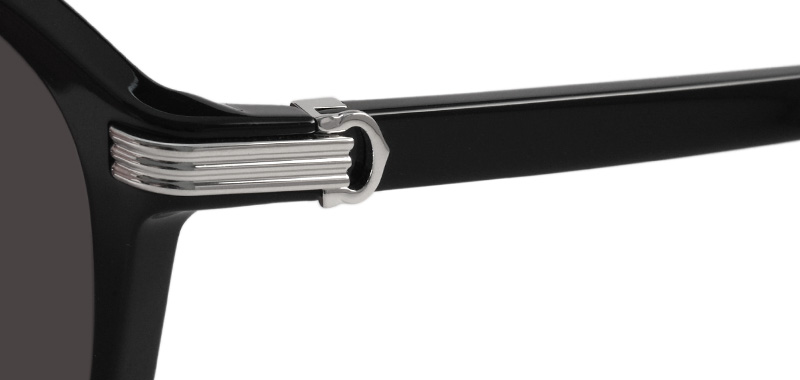 Cartier CT0302S col.005